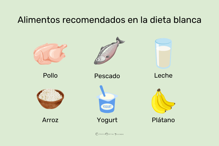 alimentos recomendados dieta blanca